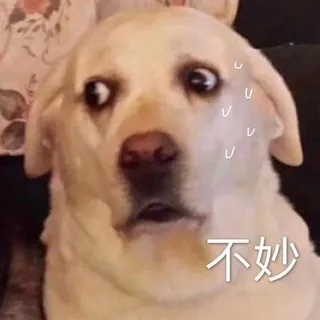🔥秘密花园🎖官方频道