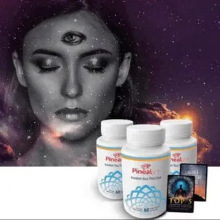 Online Supplements