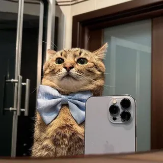 5M4ÇK3Ř