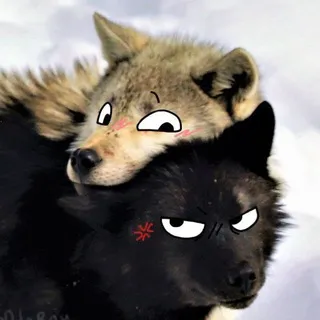 Bad Furry Yiff