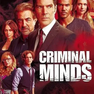 CRIMINAL MINDS ALL SEASONS 1 - 19 SERIES