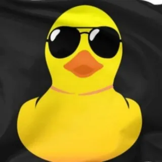 Meu Pato Cursos (ORIGINAL) 🇧🇷
