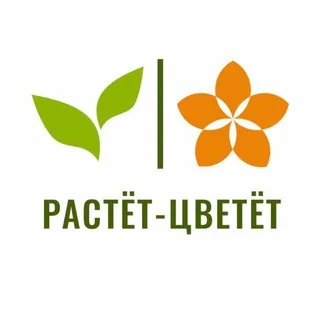 Растёт-Цветёт | Доставка цветов | Липецк