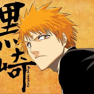 Bleach Anime [1080p] [Dual Audio + Subs] [All Episodes]