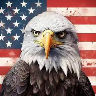 America 🇺🇸 News & Politics