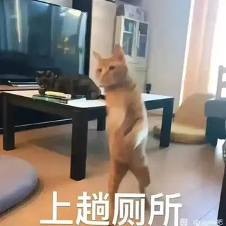 招商中心 尊龙凯时