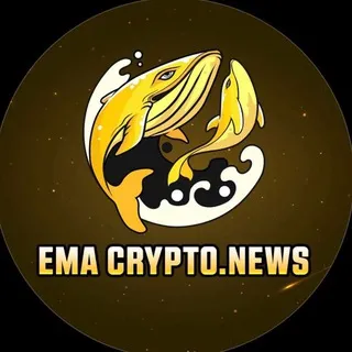 Ema Insights