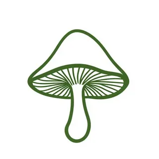 jsq水群专用