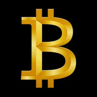 ⚡₿itcoin Maximalismo