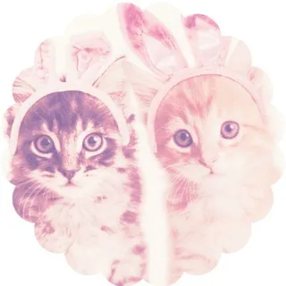 Bunny shop | Adopt shop