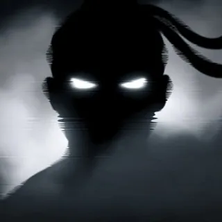 Shadow Fight Confession