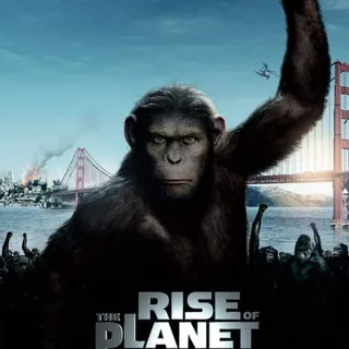 New Movie Channel
