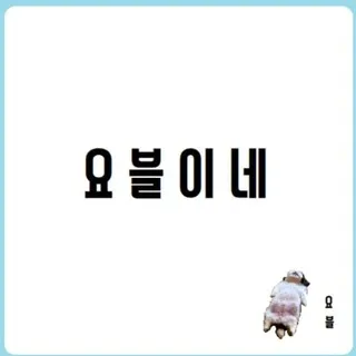 🔥요블이네🔥
