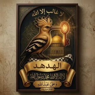 الهدهد🪶