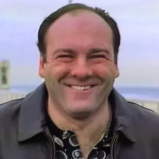 Sopranos Memes