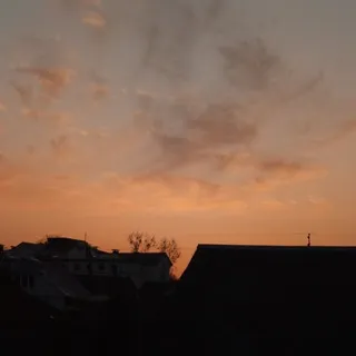 𝘝𝘗 𝘊𝘖𝘕𝘍𝘌𝘚𝘚𝘐𝘖𝘕🔍🤝