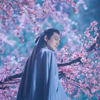 黄药师【三环药业】