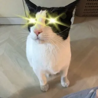 꿀찾는 양말이 Super N 크립토 일기장 ⚡️