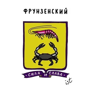 Фрунзенский район СПБ