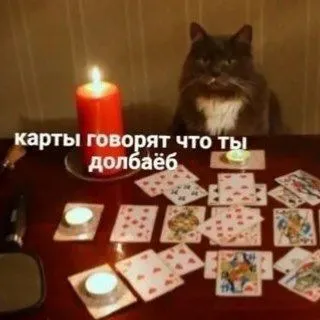 хейт таро конфешен