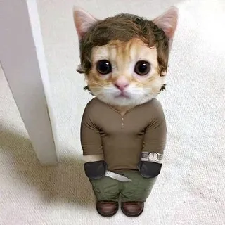 Туторы