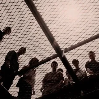 The Maze Runner (ϲϝ)