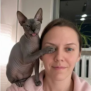 ЧЕТВЕРГОВЫЙ КОТ