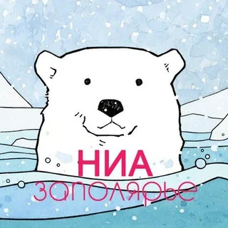 НИА-Заполярье — Новости Арктики России