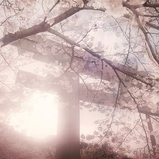 𝒫 𝚛𝚒𝚌𝚎 @KinouToShinkou