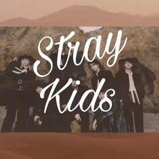 Stray Kids Brasil - DO IT