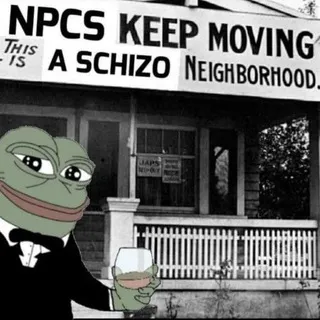 SCHIZO.FINANCE CLONE