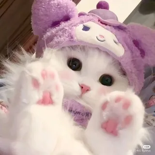 Сеть каналов Top1Media | Catalog