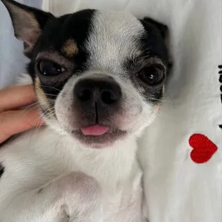Любовь по бартеру и без ♥️