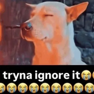 $ignore (portal)