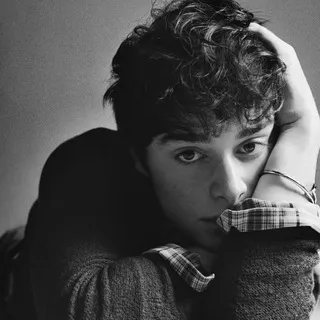 Noah Schnapp ®