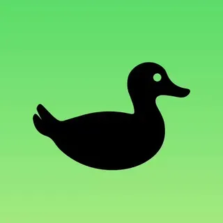 Eager Duck | Contest 2025