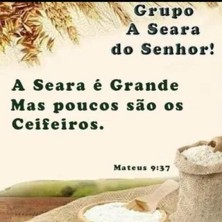 Grupo Seara do Senhor oficial