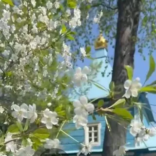 Угреша Духовное чтение
