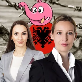 Bullshit by Alice Weidel, Enxhi Seli-Zacharias ☪️🇦🇱 und weitere 💩 AfD Politikern ohne Kopf und Fuss, und natürlich ohne Fakten