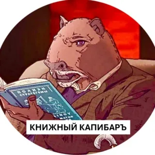 Книжный Капибаръ