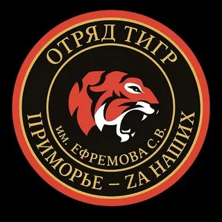 Жизнь «Тигров»
