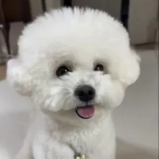 원앵커의 월가 비밀노트 ➖미국증시