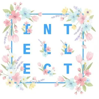 INTELLECT Law firm, official
