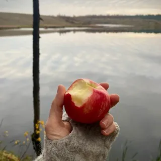 Улитка на склоне