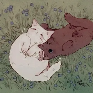 𝆺𝅥︶۫ ִ𓆩⸼ ֵ۫❪🐾❫ֵ۫ ⸼𓆪ִ ۫︶𝆺𝅥