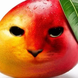 mango🥭