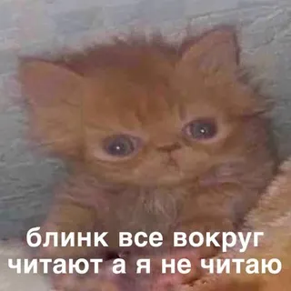 чепуха и ничего не понятно