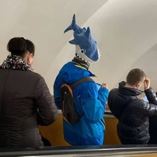 Колыбель эволюции Z
