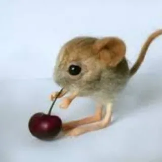 смерть в нищите