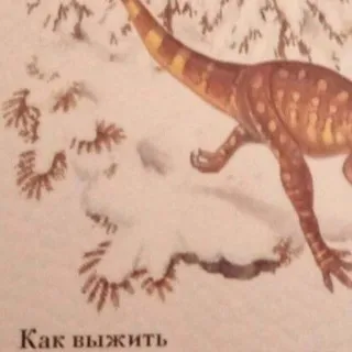 КАК ВЫЖИТЬ